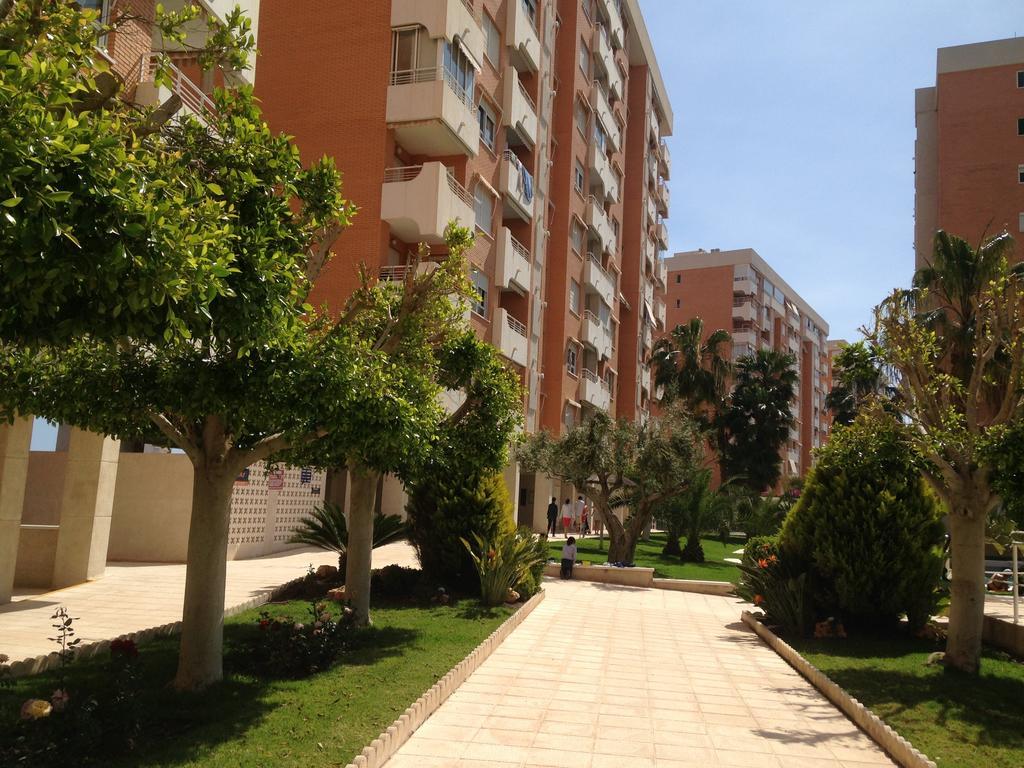 لقنت Apartment Playa San Juan الغرفة الصورة