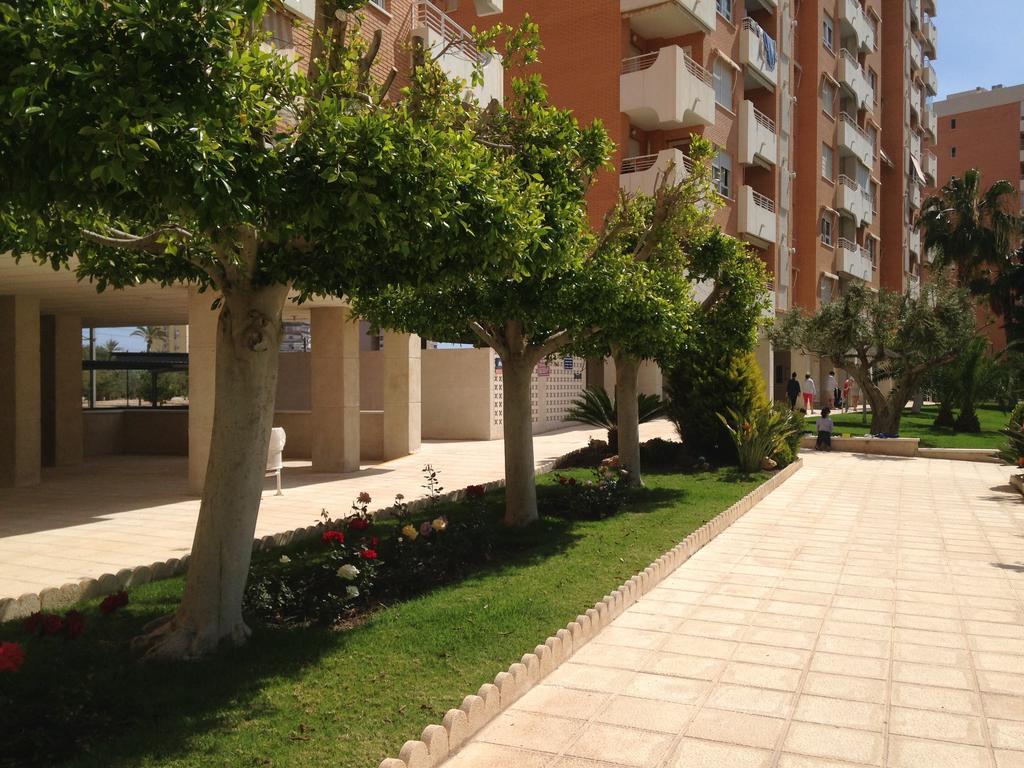 لقنت Apartment Playa San Juan الغرفة الصورة